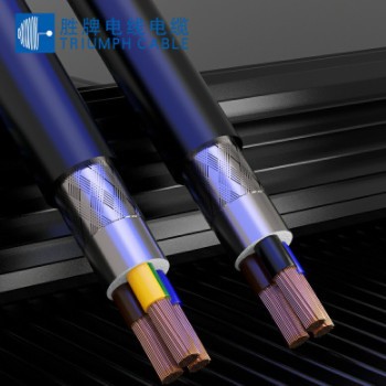 勝牌RVVP/1.0MM多芯護(hù)套雙屏蔽電纜2~6芯通訊控制信號(hào)線無氧銅芯