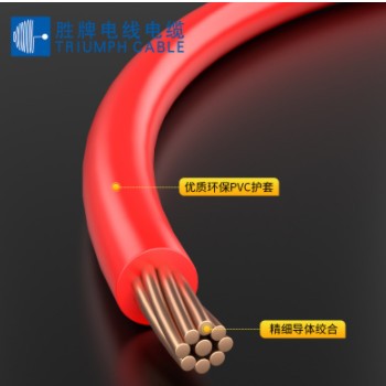 勝牌BVR10mm國標(biāo)家裝家用銅芯電線 阻燃單芯多股軟線電源線