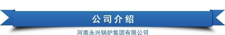 家用暖氣鍋爐 電磁采暖醇基燃料燃煤鍋爐 家用節能采暖爐燃煤示例圖24